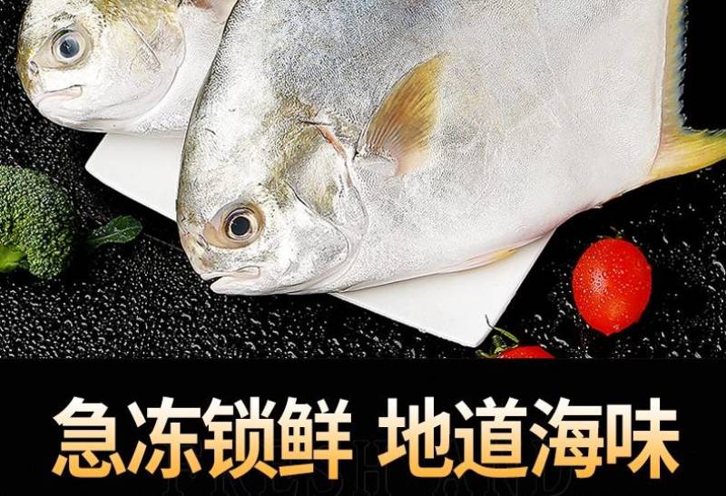 鲳鱼，金鲳鱼，规格齐全，价格美丽，每件20斤