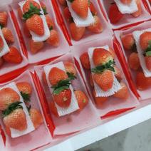 新鲜大草莓奶油草莓大量上市了，宁玉，妙香，红颜，甜茶里，
