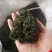 恩施富硒绿茶高中低档均有供应可定制礼盒