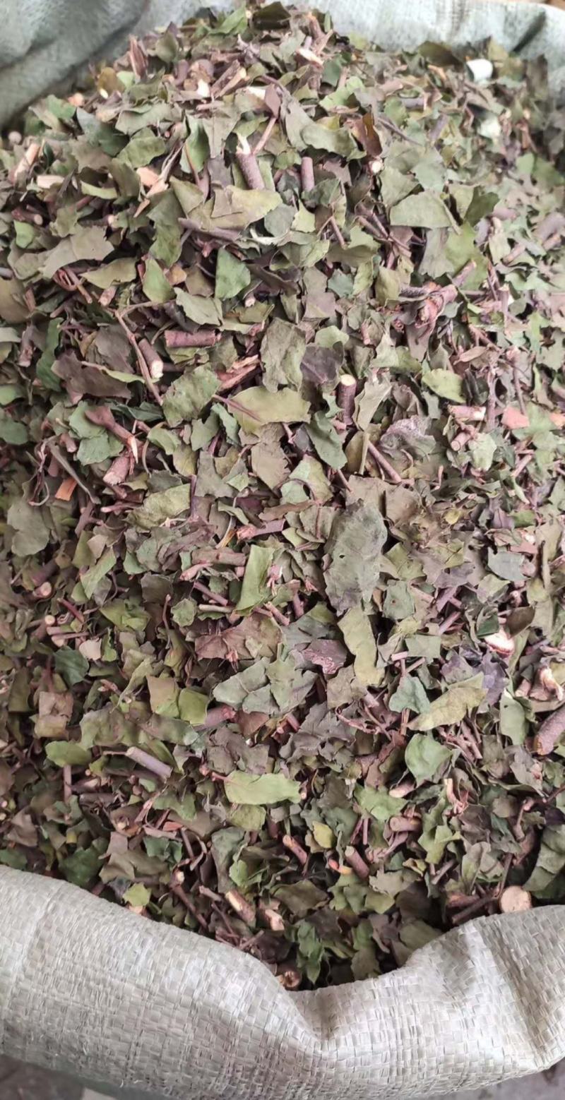 桑寄生【包邮】三斤起发货可批量可零售量大从优