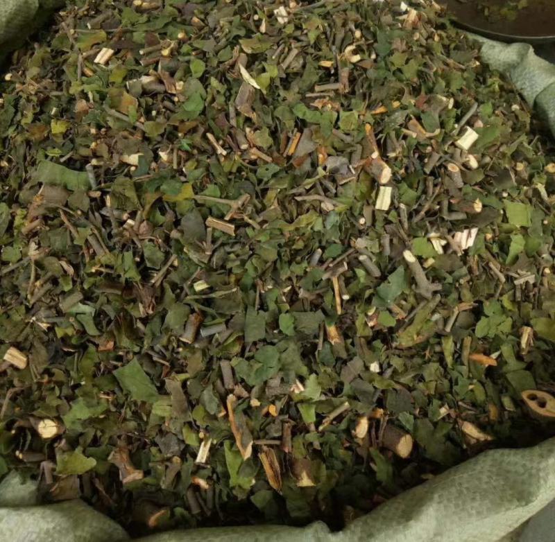桑寄生【包邮】三斤起发货可批量可零售量大从优