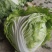 河南大白菜，秦白2号白菜，颜色翠绿，量大从优适用于学校食堂