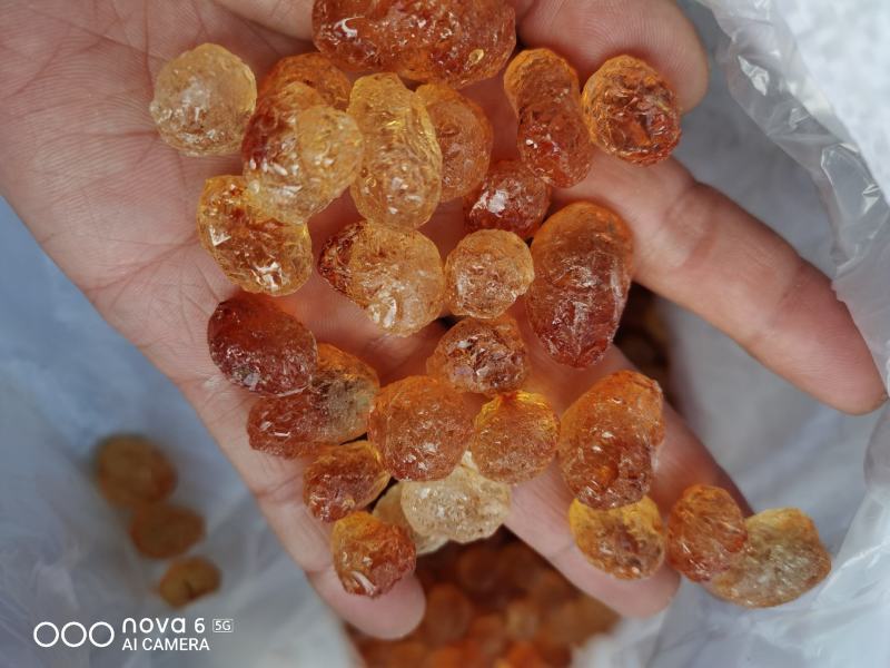 桃胶/原产地人工精修剪大中小无杂质颗粒桃胶