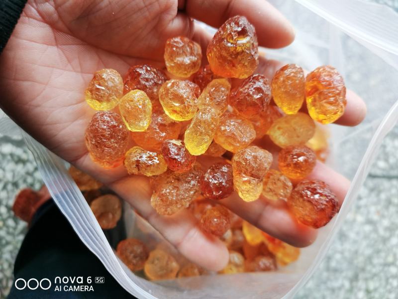 桃胶/原产地人工精修剪大中小无杂质颗粒桃胶