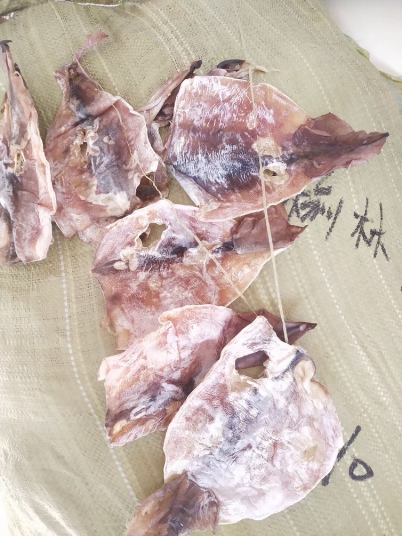 朝鲜鱿鱼鱿鱼残片大OK残片