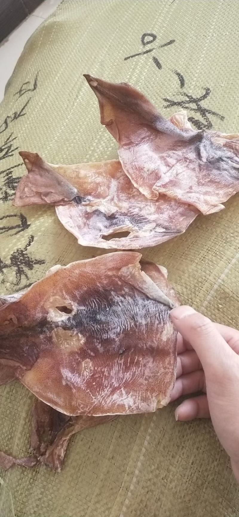 朝鲜鱿鱼鱿鱼残片大OK残片