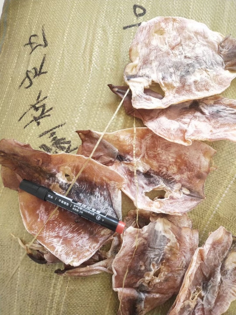 朝鲜鱿鱼鱿鱼残片大OK残片
