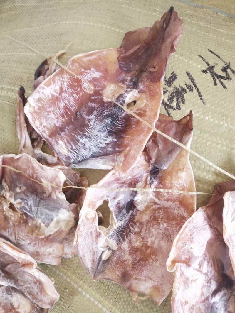 朝鲜鱿鱼鱿鱼残片大OK残片
