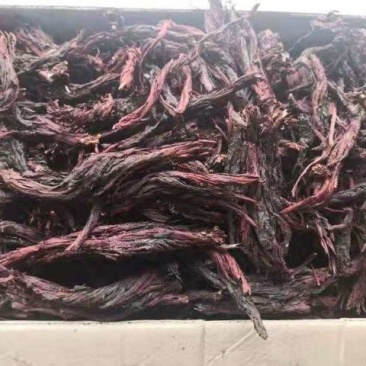 新疆优质紫草，高含量，选货，价格不高，货在新疆伊犁