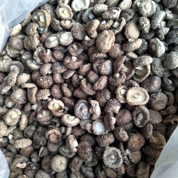 农户自家种植的干香菇，产量大，品质优等！价格均可协商