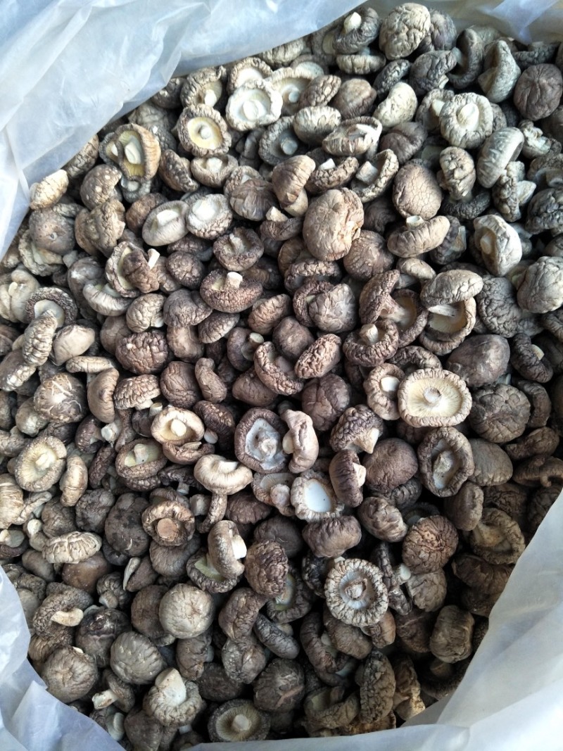 农户自家种植的干香菇，产量大，品质优等！价格均可协商