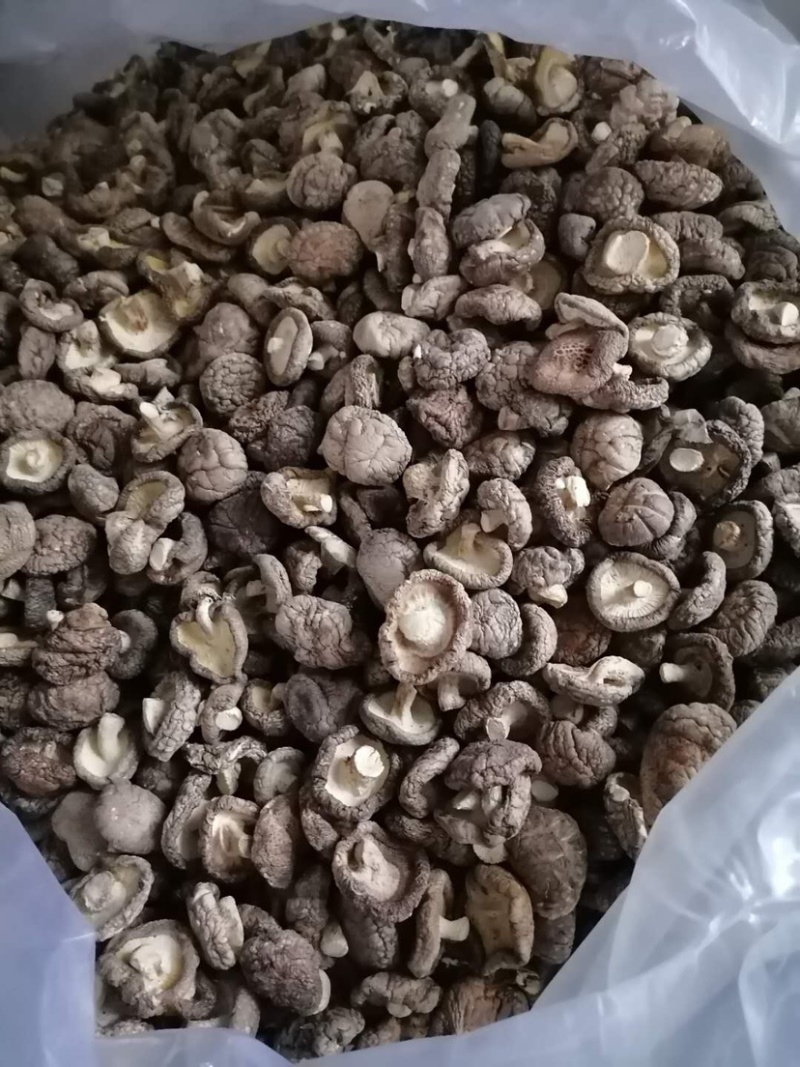 农户自家种植的干香菇，产量大，品质优等！价格均可协商