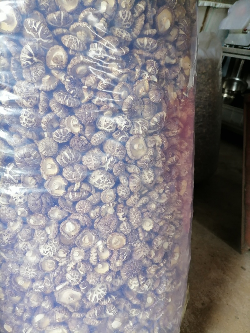 农户自家种植的干香菇，产量大，品质优等！价格均可协商