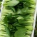 江西抚州宜黄大青菜个大量多质好价格可议，量大从优