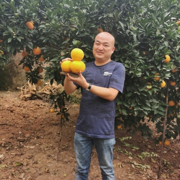 2020赣南寻乌—优质脐橙