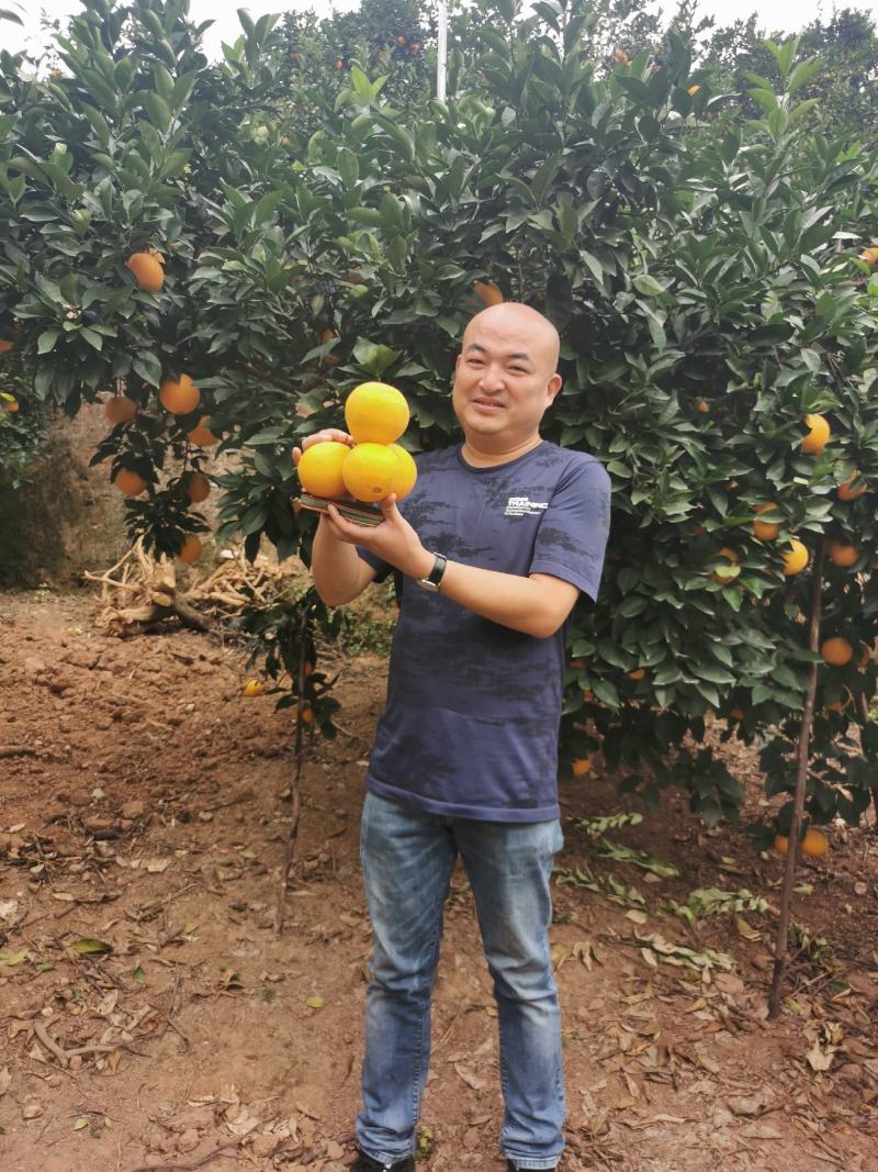 2020赣南寻乌—优质脐橙