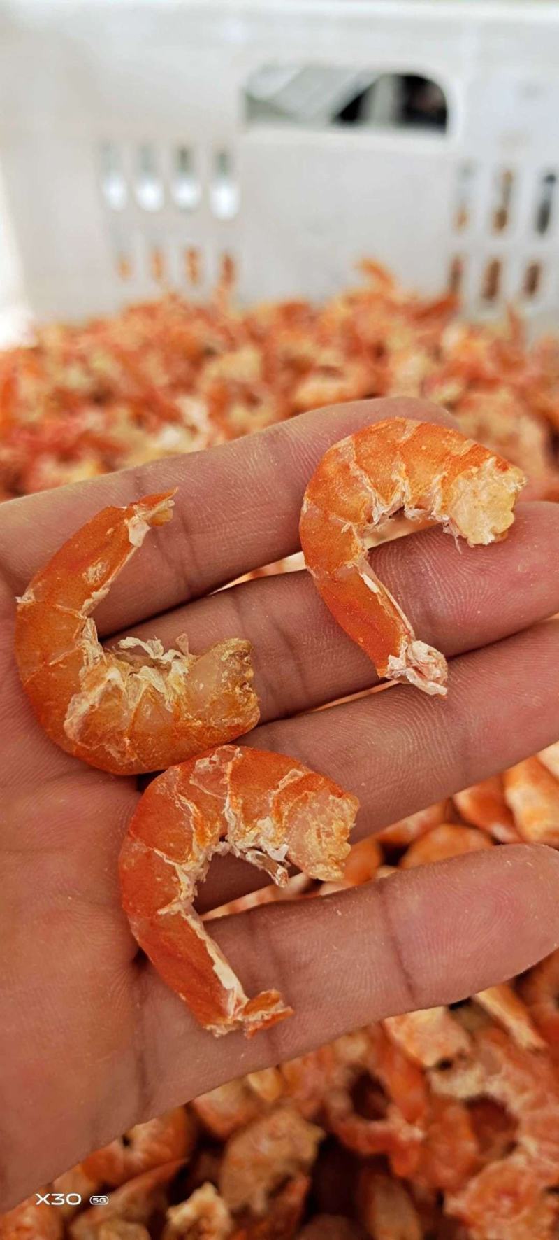 【有好货】精品干虾仁！海米自家加工味道鲜美炒菜做汤包水饺
