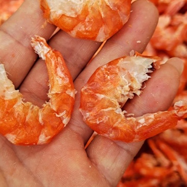 【有好货】精品干虾仁！海米自家加工味道鲜美炒菜做汤包水饺