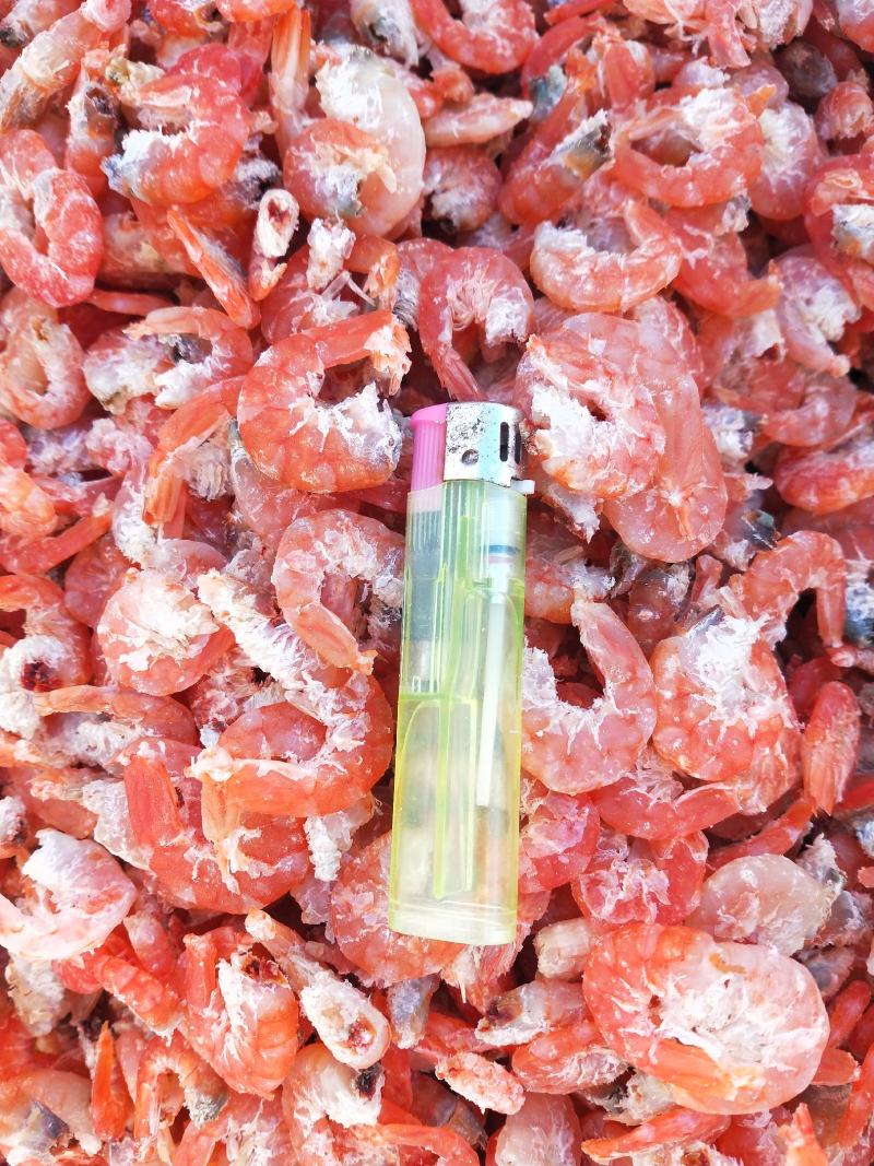 【有好货】精品干虾仁！海米自家加工味道鲜美炒菜做汤包水饺
