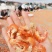 【有好货】精品干虾仁！海米自家加工味道鲜美炒菜做汤包水饺