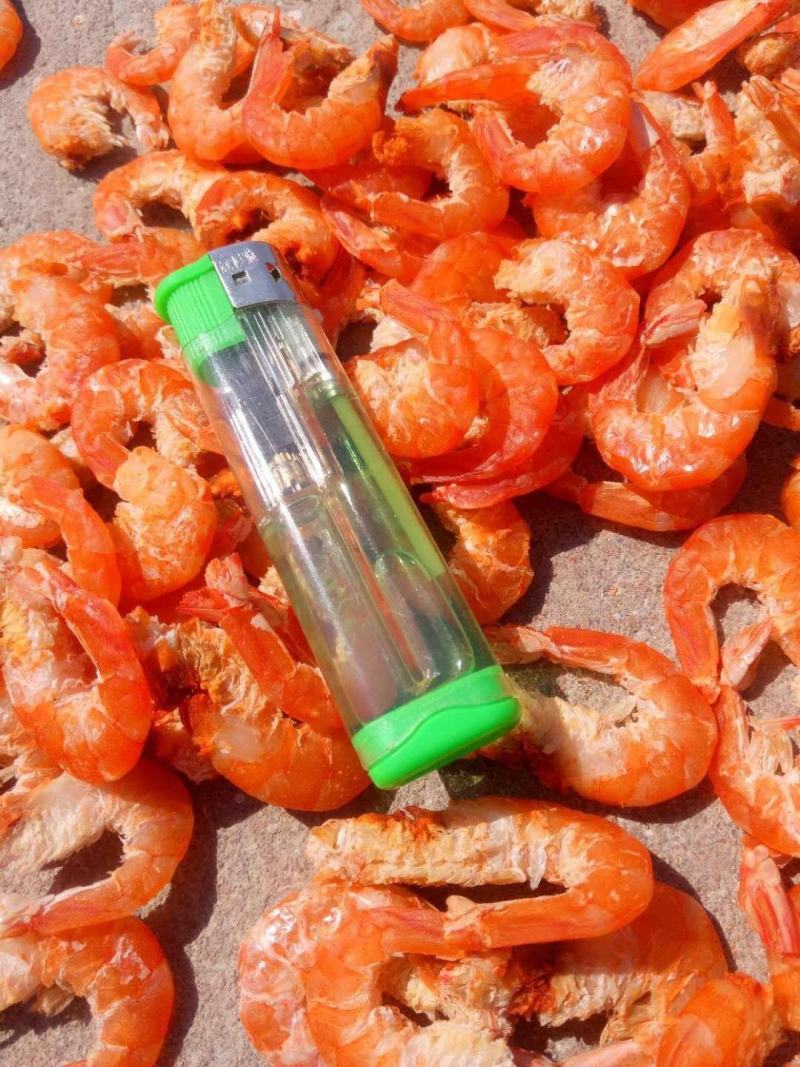 【有好货】精品干虾仁！海米自家加工味道鲜美炒菜做汤包水饺