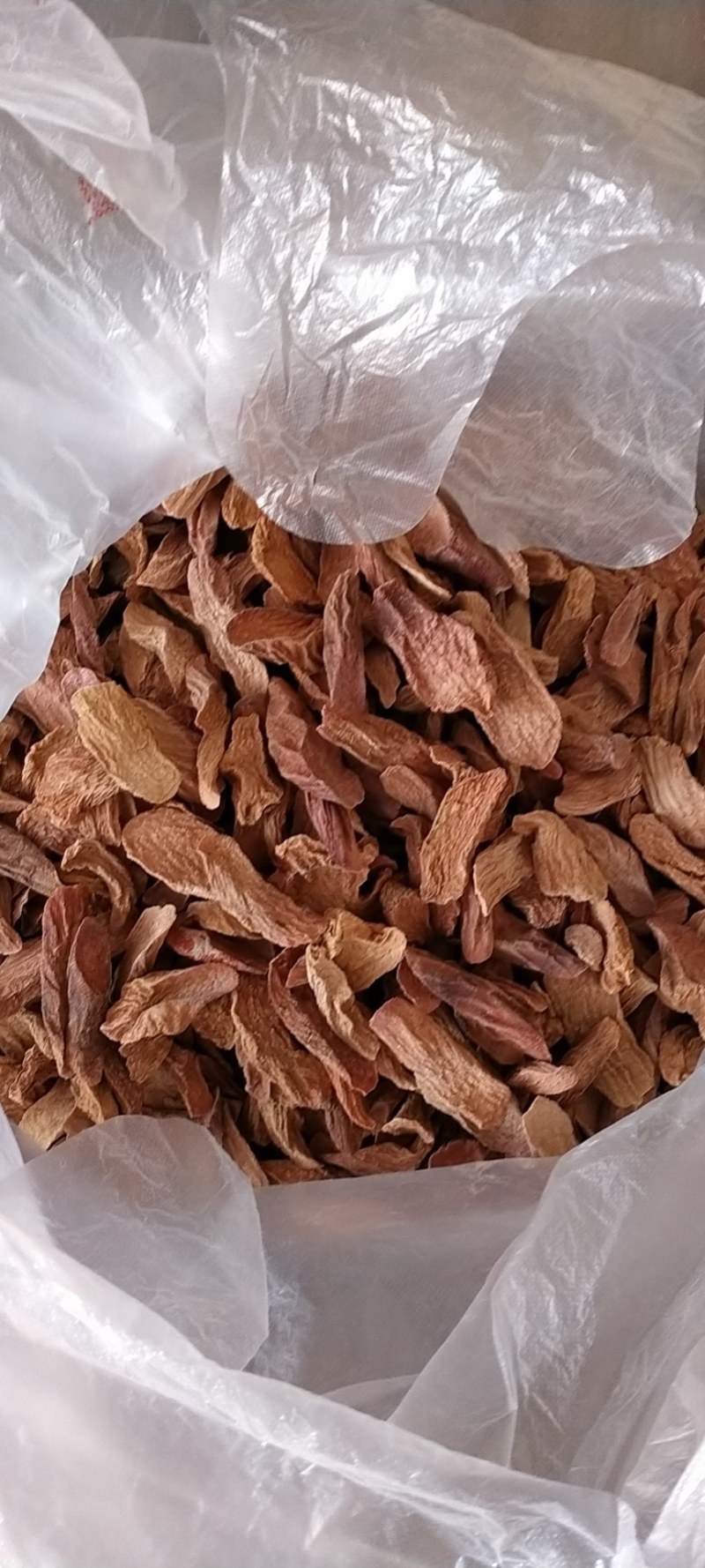 中药材/中药根茎类/锁阳/额济纳旗去皮锁阳片，批发.零售