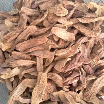中药材/中药根茎类/锁阳/额济纳旗去皮锁阳片，批发.零售