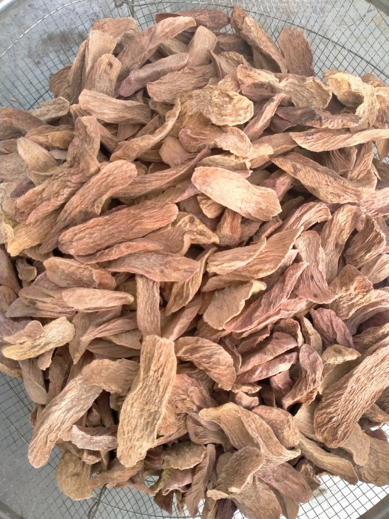 中药材/中药根茎类/锁阳/额济纳旗去皮锁阳片，批发.零售