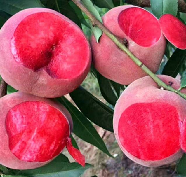 红心桃特写展示