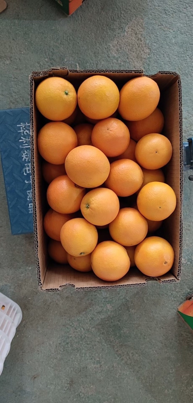 赣南脐橙，年货礼品佳品，产地直发，批发零售均可