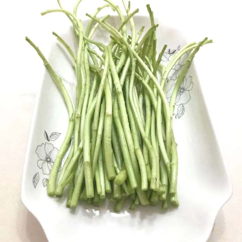 一件代发【八卦洲芦蒿】安徽南京芦蒿新鲜采摘优质蔬菜热卖中