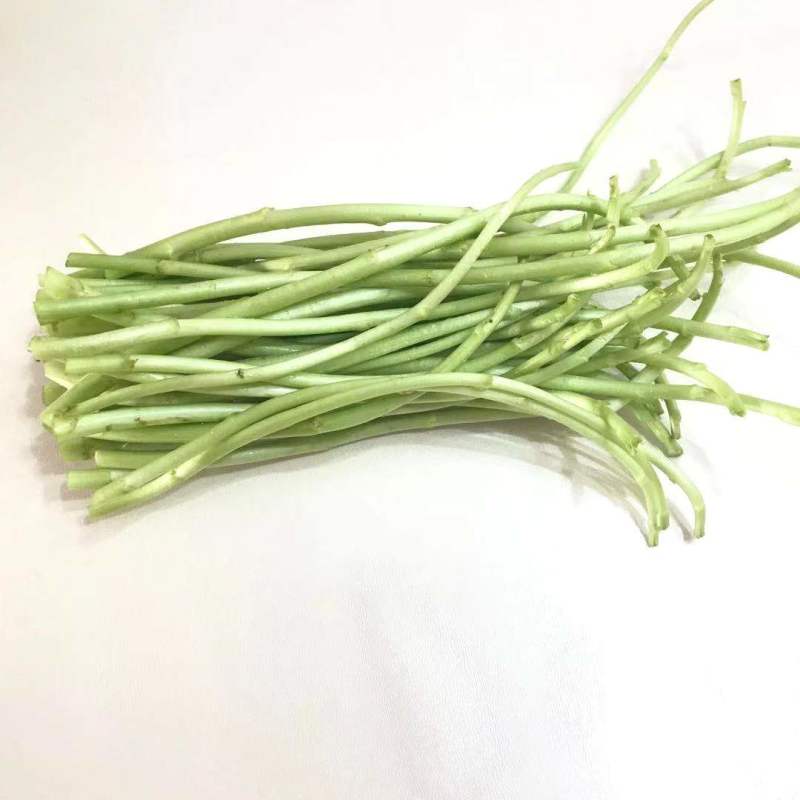 一件代发【八卦洲芦蒿】安徽南京芦蒿新鲜采摘优质蔬菜热卖中