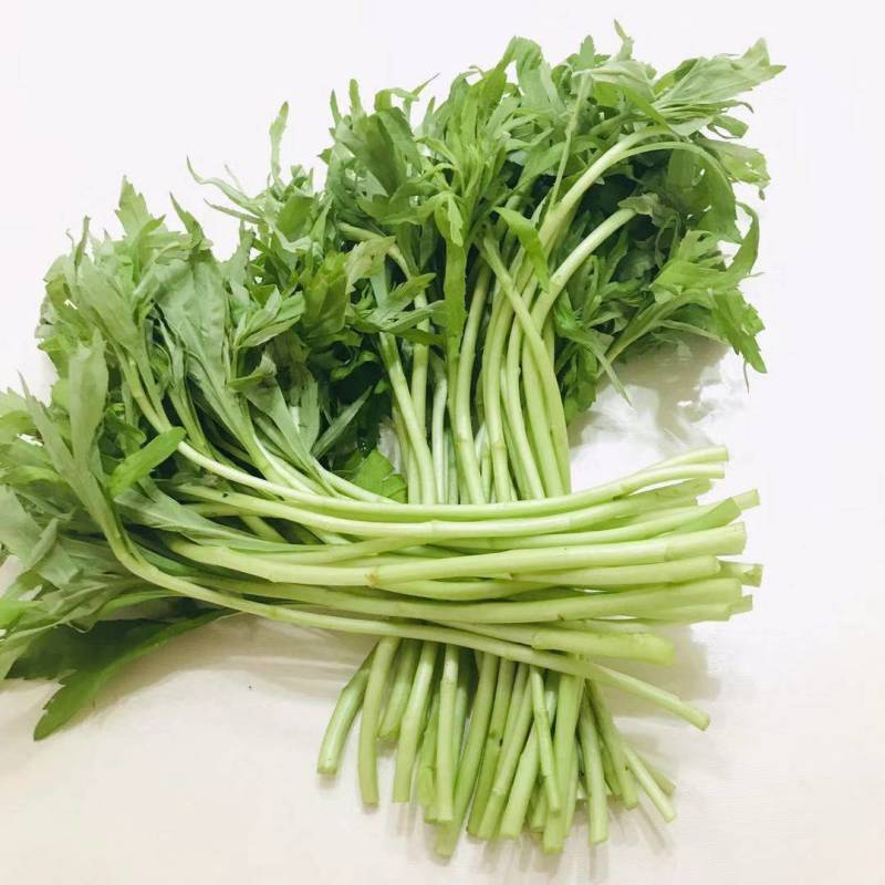 一件代发【八卦洲芦蒿】安徽南京芦蒿新鲜采摘优质蔬菜热卖中