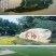 一件代发【八卦洲芦蒿】安徽南京芦蒿新鲜采摘优质蔬菜热卖中