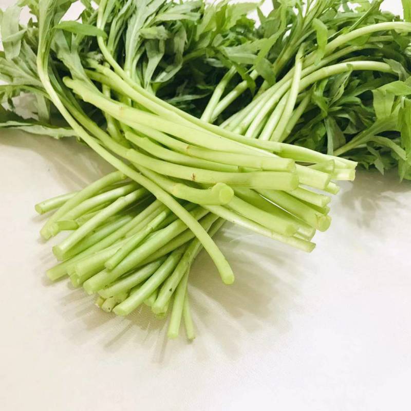 一件代发【八卦洲芦蒿】安徽南京芦蒿新鲜采摘优质蔬菜热卖中