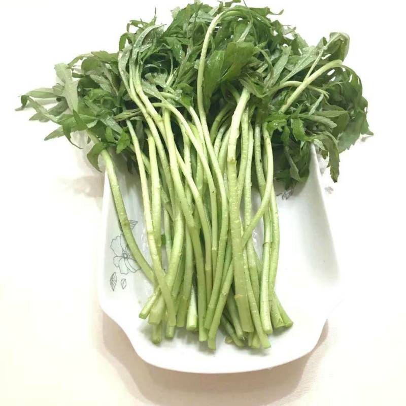 一件代发【八卦洲芦蒿】安徽南京芦蒿新鲜采摘优质蔬菜热卖中