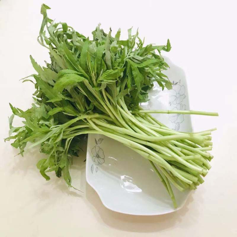 一件代发【八卦洲芦蒿】安徽南京芦蒿新鲜采摘优质蔬菜热卖中