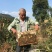 大山深处瑶族老人家养的蜂蜜，养了几十年啦