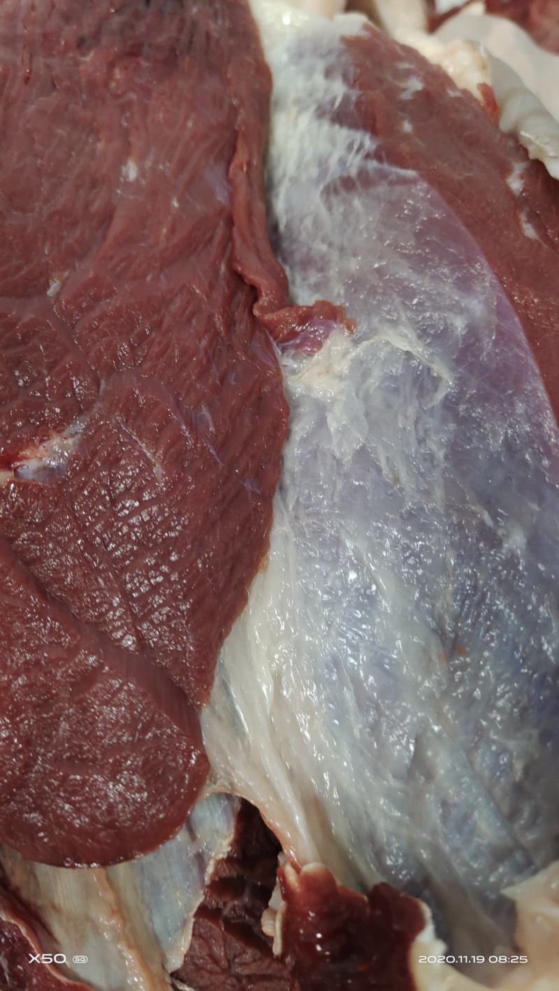 蒙古马肉五分体精修去油颜色漂亮质量精品需要需要的老板联系