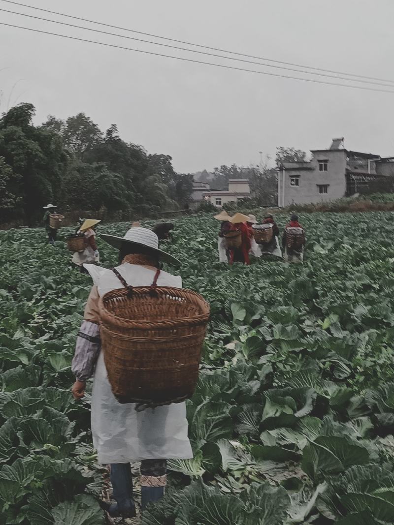 需要得老板赶快，精品好货不多