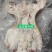 半去骨牛蹄全去骨质量稳定现货出售物美价廉现货