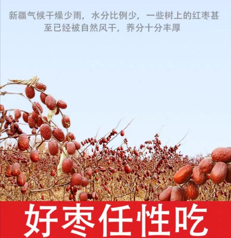 新疆大枣灰枣电商团购超市赶集摆摊干果店早市批发市场