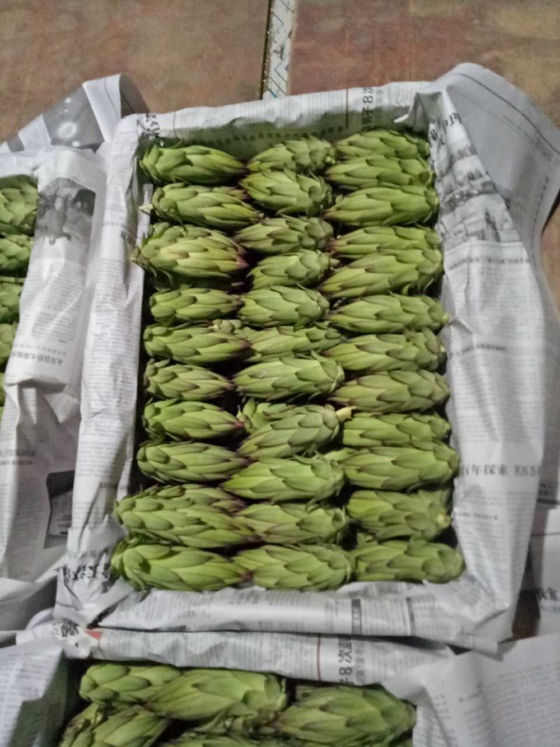 专业代收各种水果蔬菜质量好货量大小米椒新鲜辣椒
