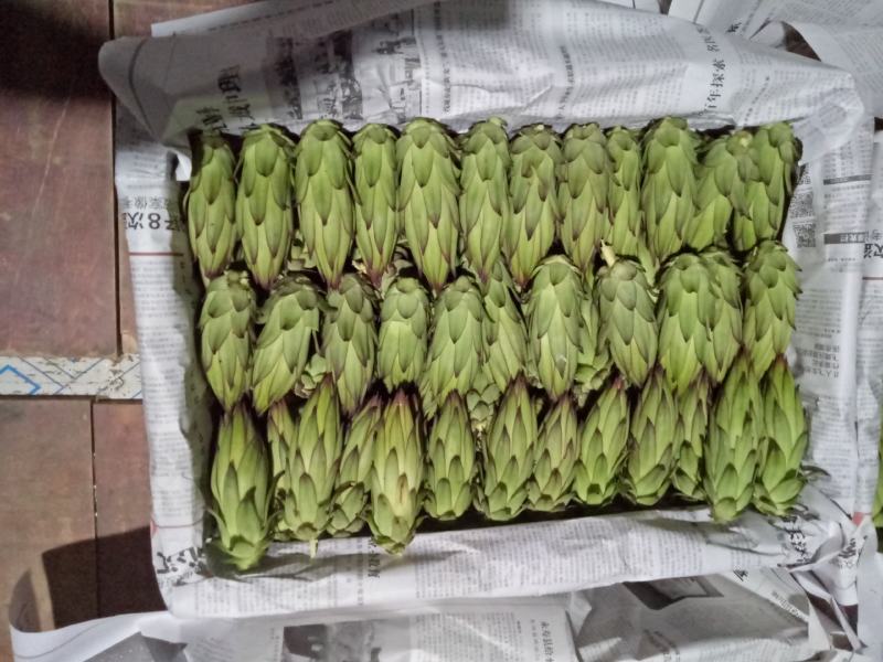 专业代收各种水果蔬菜质量好货量大小米椒新鲜辣椒