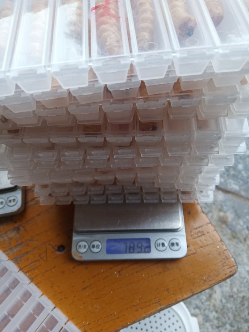 斗米虫啊啊啊啊啊啊啊啊！！！！！！！！！！！！