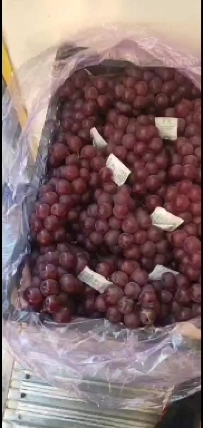 葡萄巨峰葡萄大量库存巨峰葡萄价格便宜