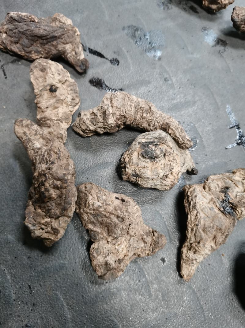 生地原产地高含量【男人加油站】支持一件代发