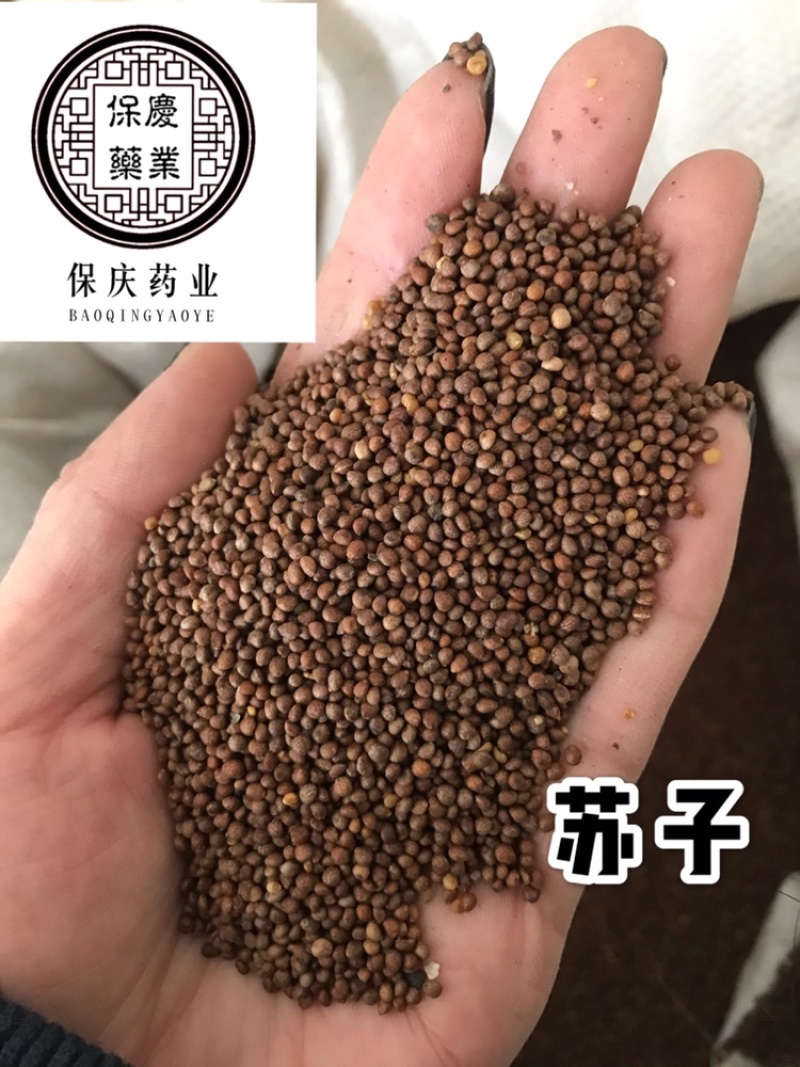 紫苏子正品新货油苏子炒紫苏子干净炒苏子熟紫苏子