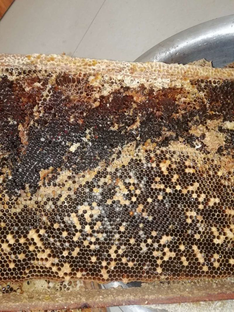 中蜂蜜冬蜜，原生态条件下的冬蜜
