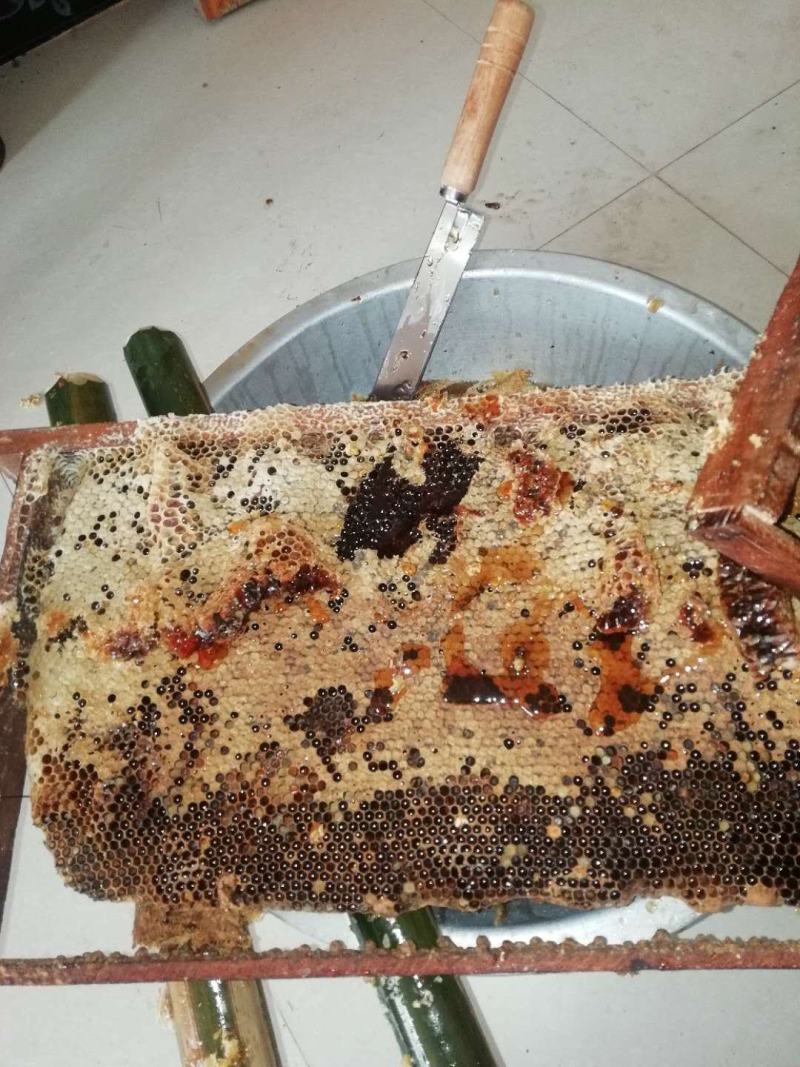 中蜂蜜冬蜜，原生态条件下的冬蜜